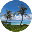 nagomi profile picture